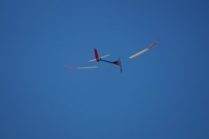 DSC03004